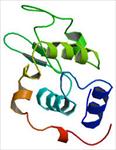 تحقیق-پروتئین-و-انواع-ساختارهای-آن