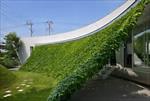 پاورپوینت-تاثیر-پوشش-گیاهی-در-صرفه-جویی-انرژی-ساختمان