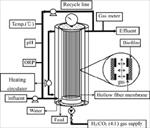 پاورپوینت-بررسی-و-مدلسازی-راکتورهای-hollow-fiber
